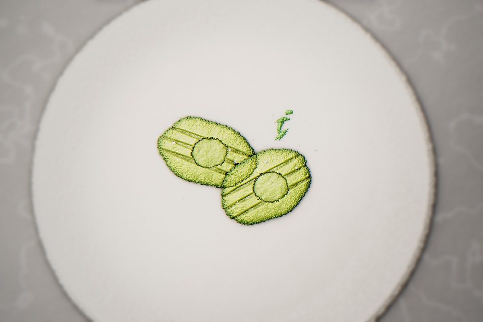Aguacate a la leña